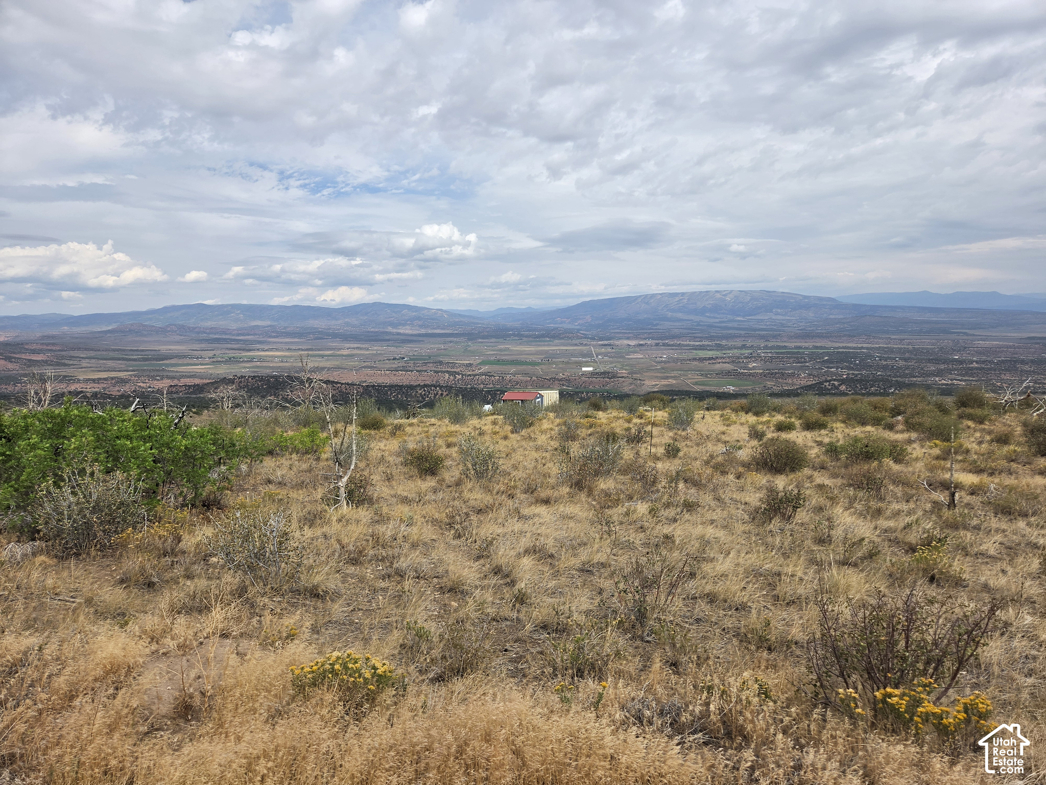 main property photo 14