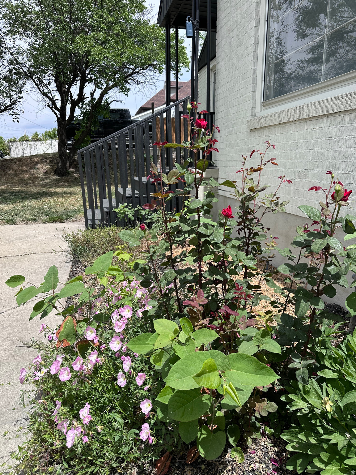 main property photo 37