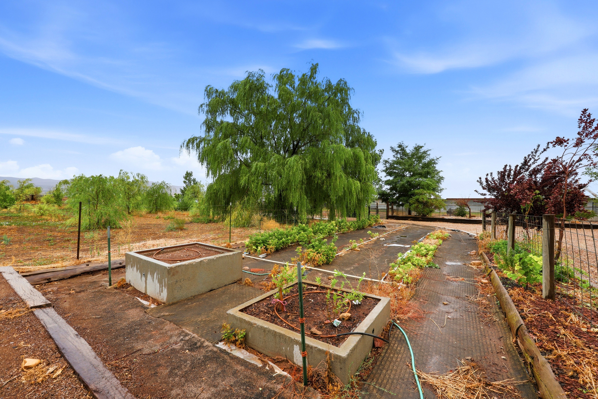 main property photo 48