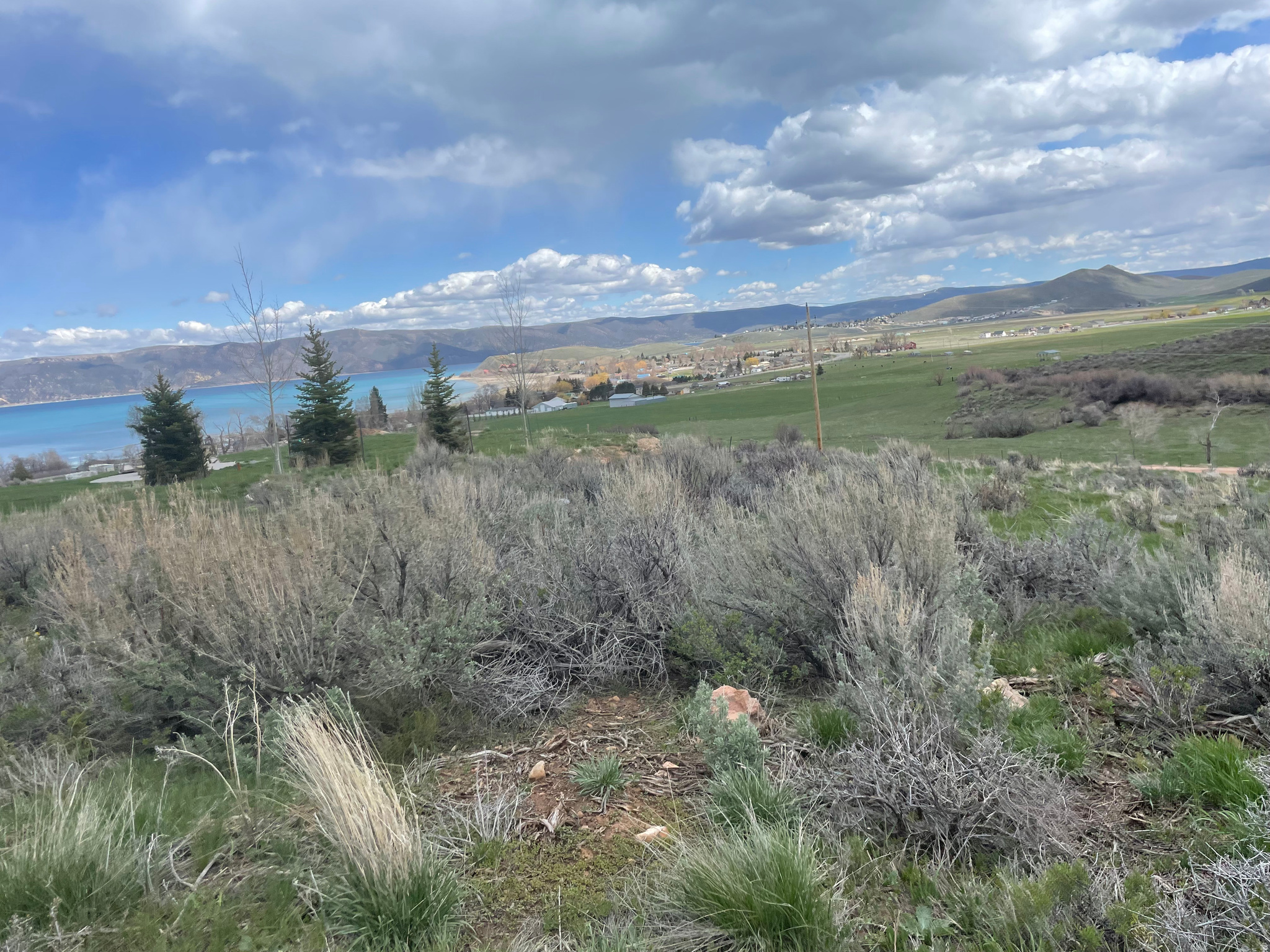 main property photo 0
