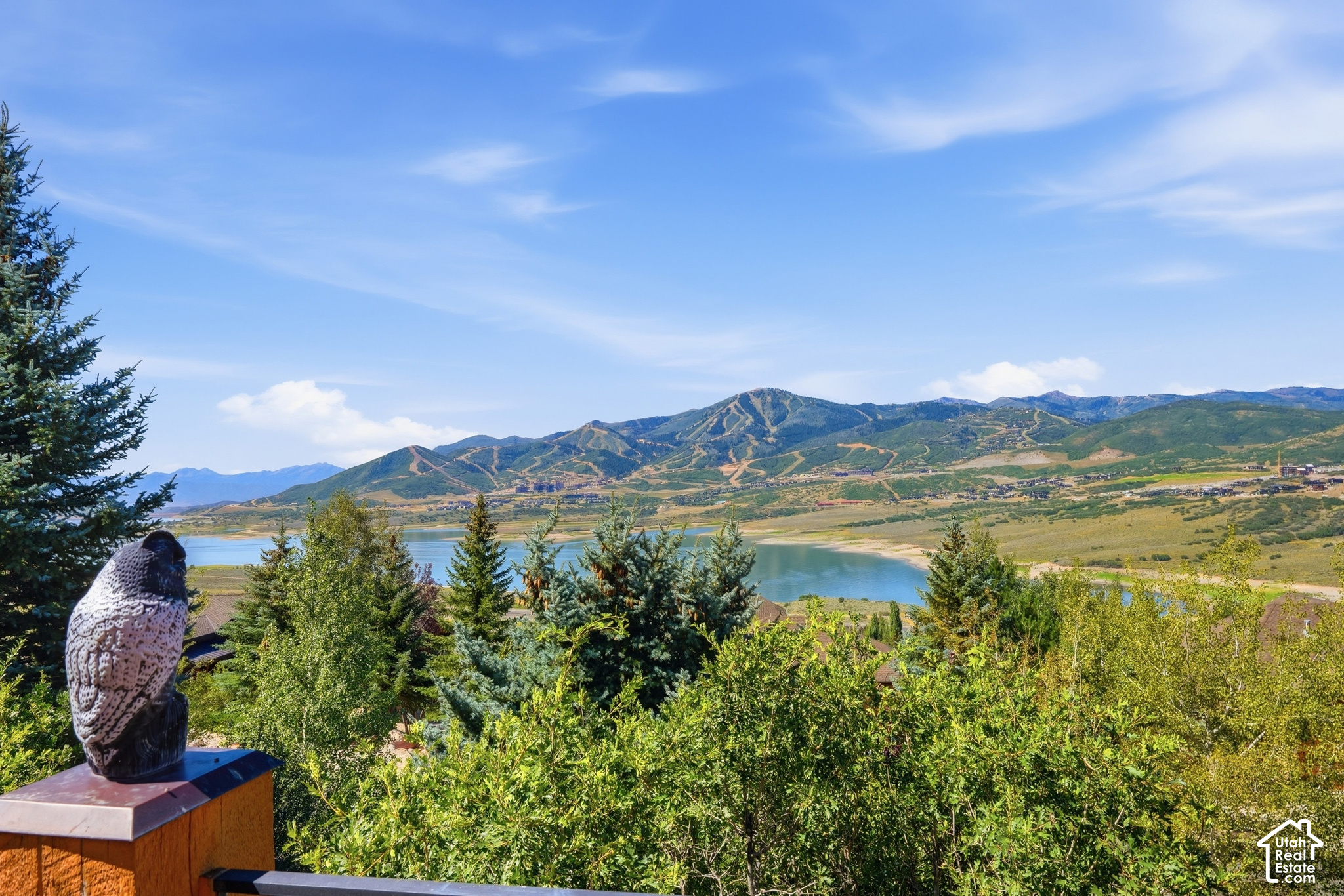 main property photo 61