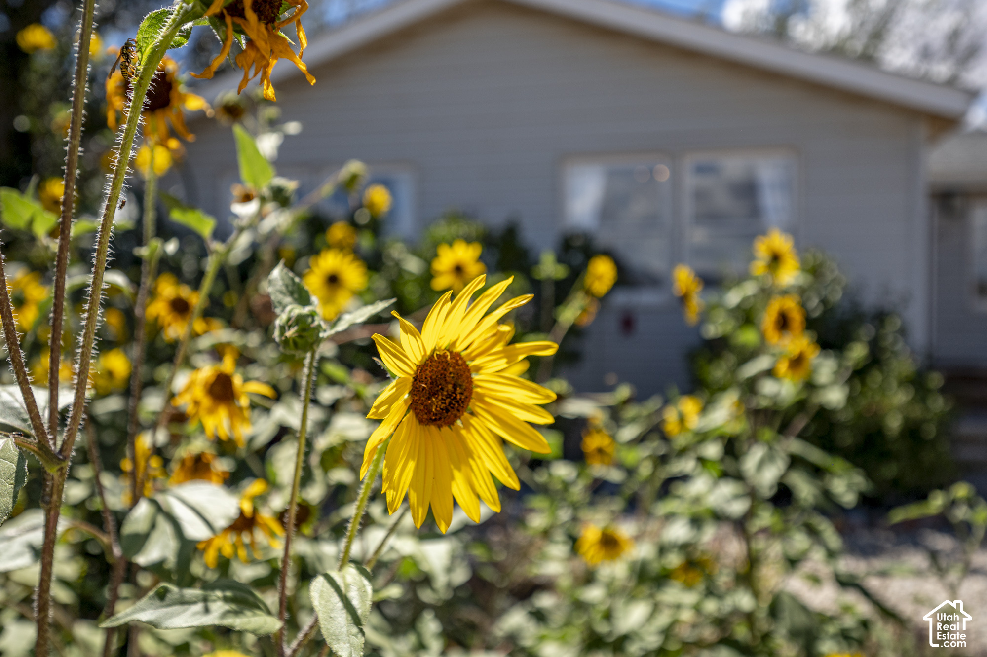main property photo 79