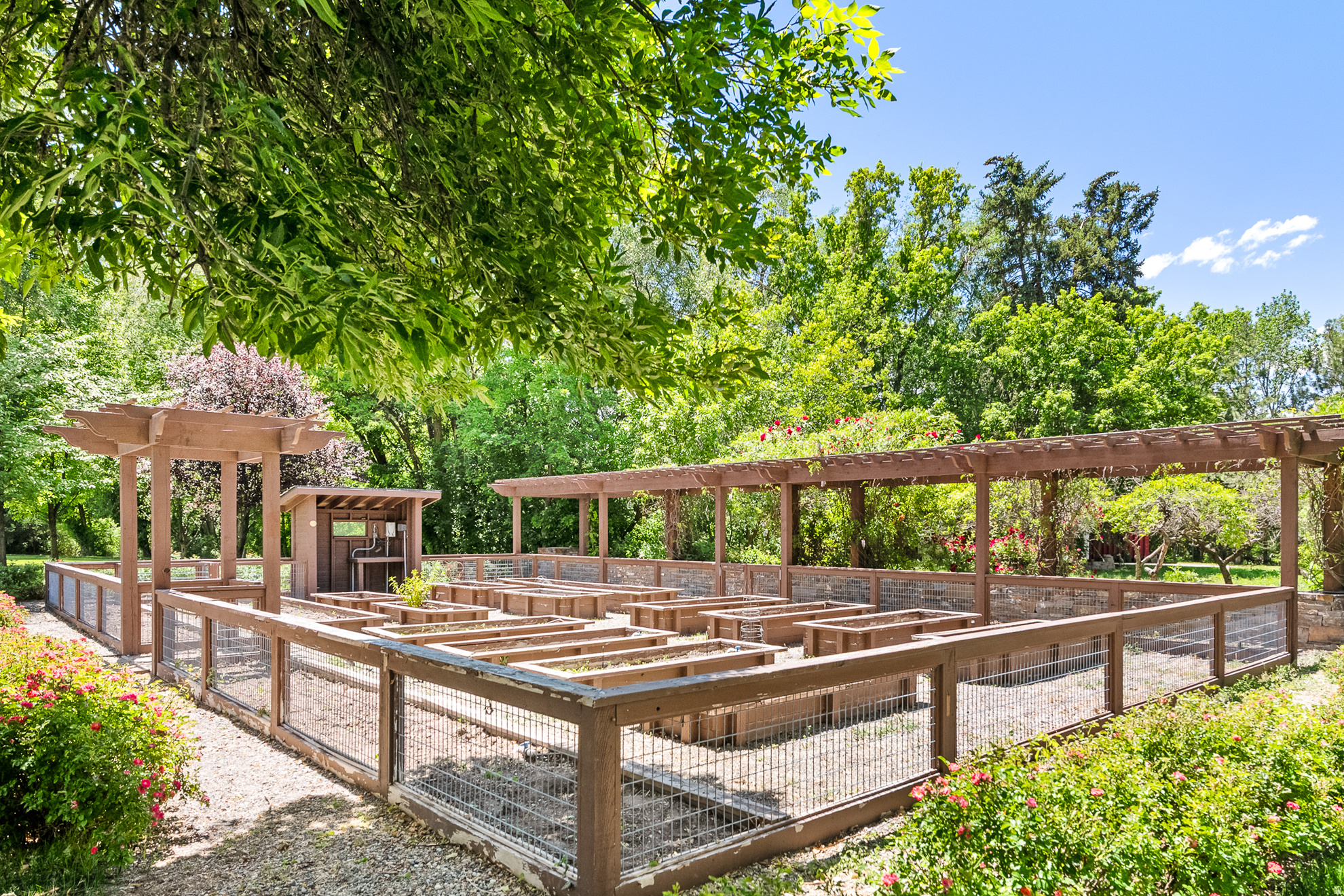 main property photo 111