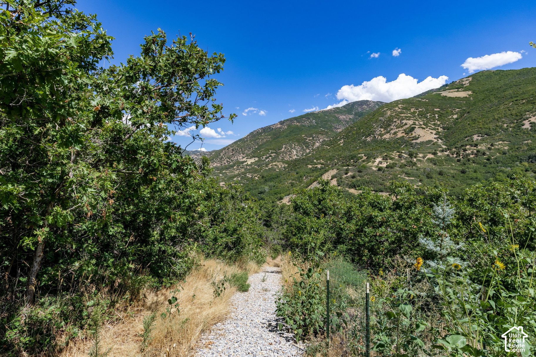 property viewer photo 61
