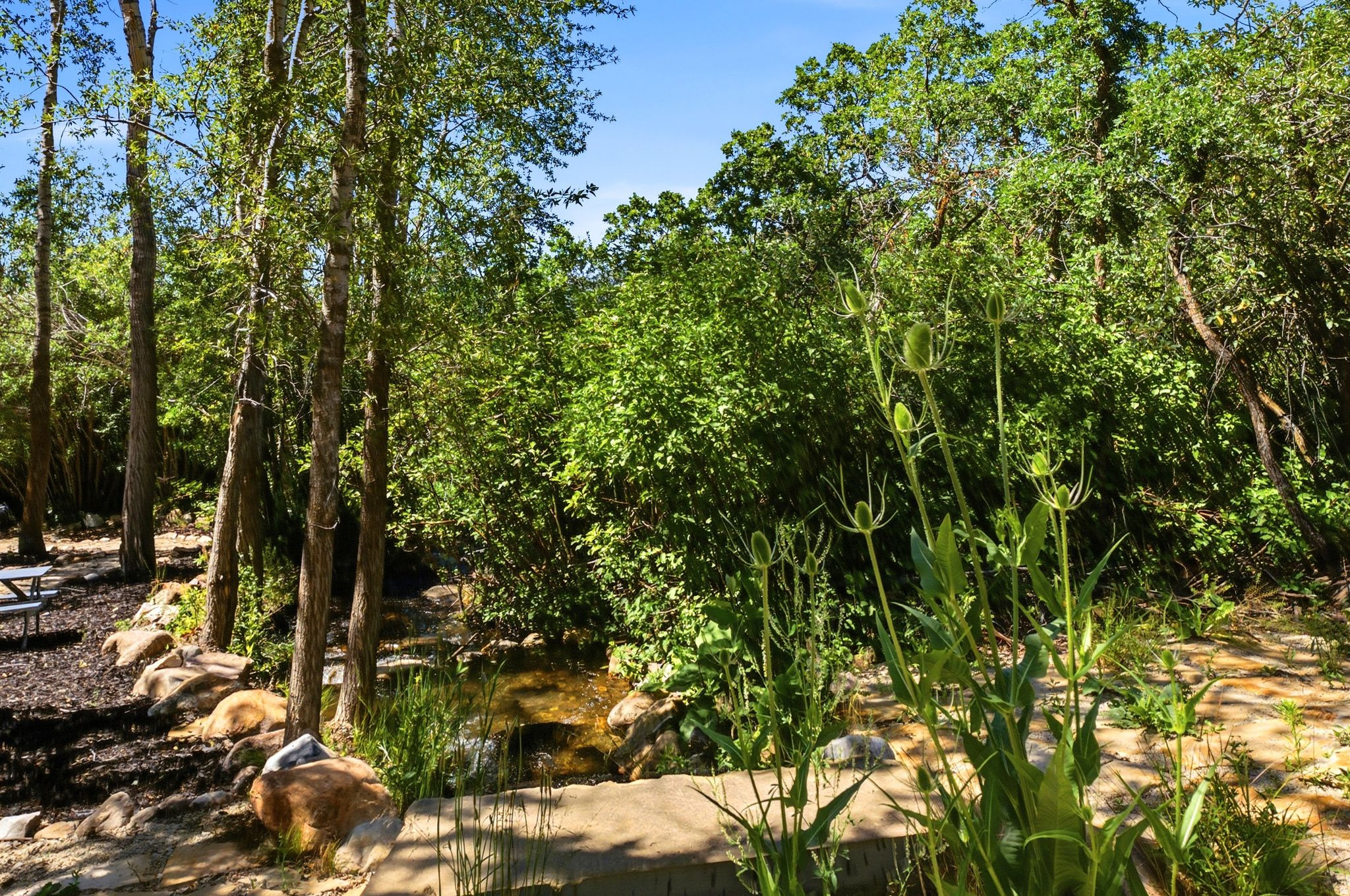 main property photo 37