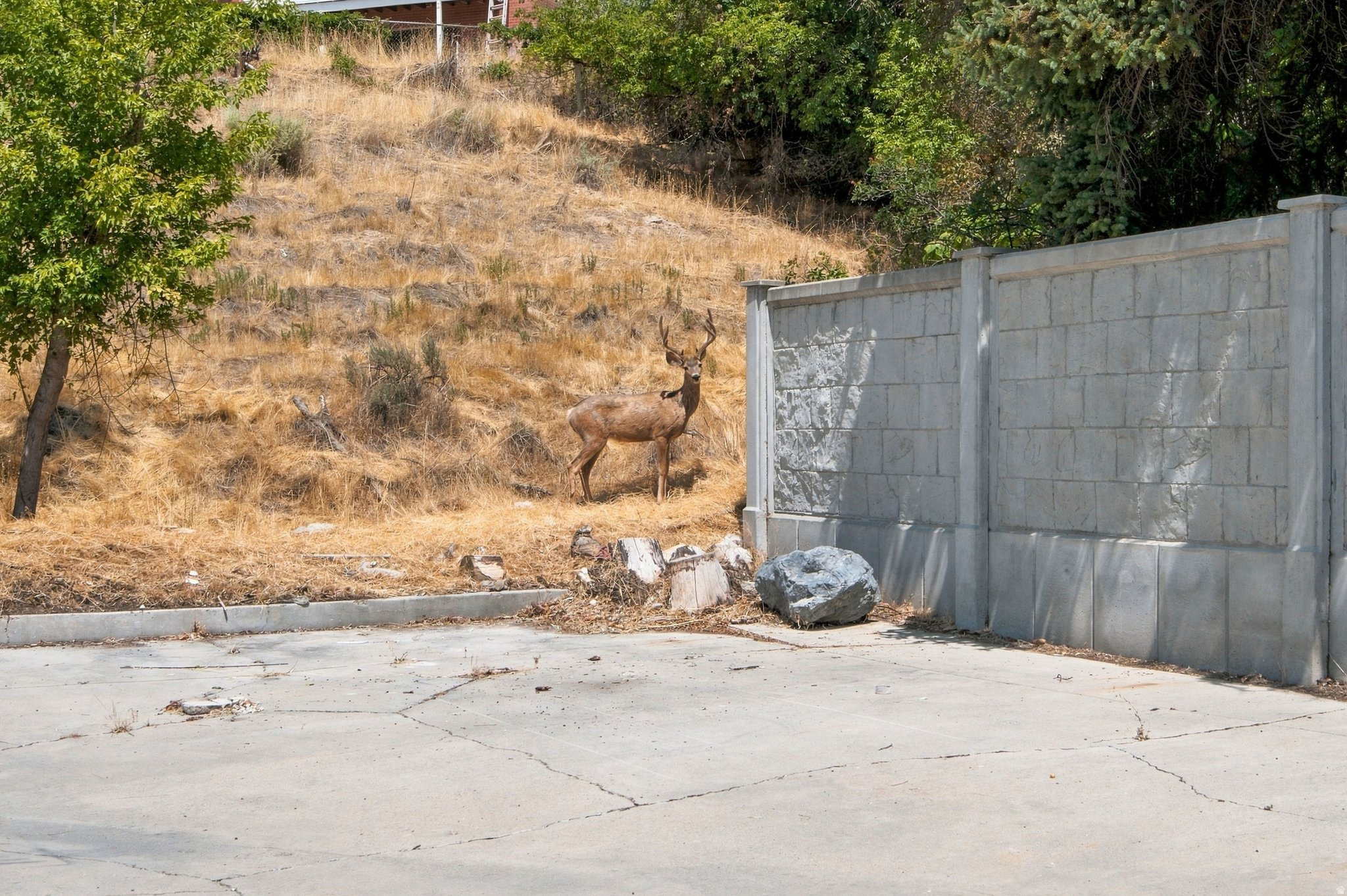 main property photo 77