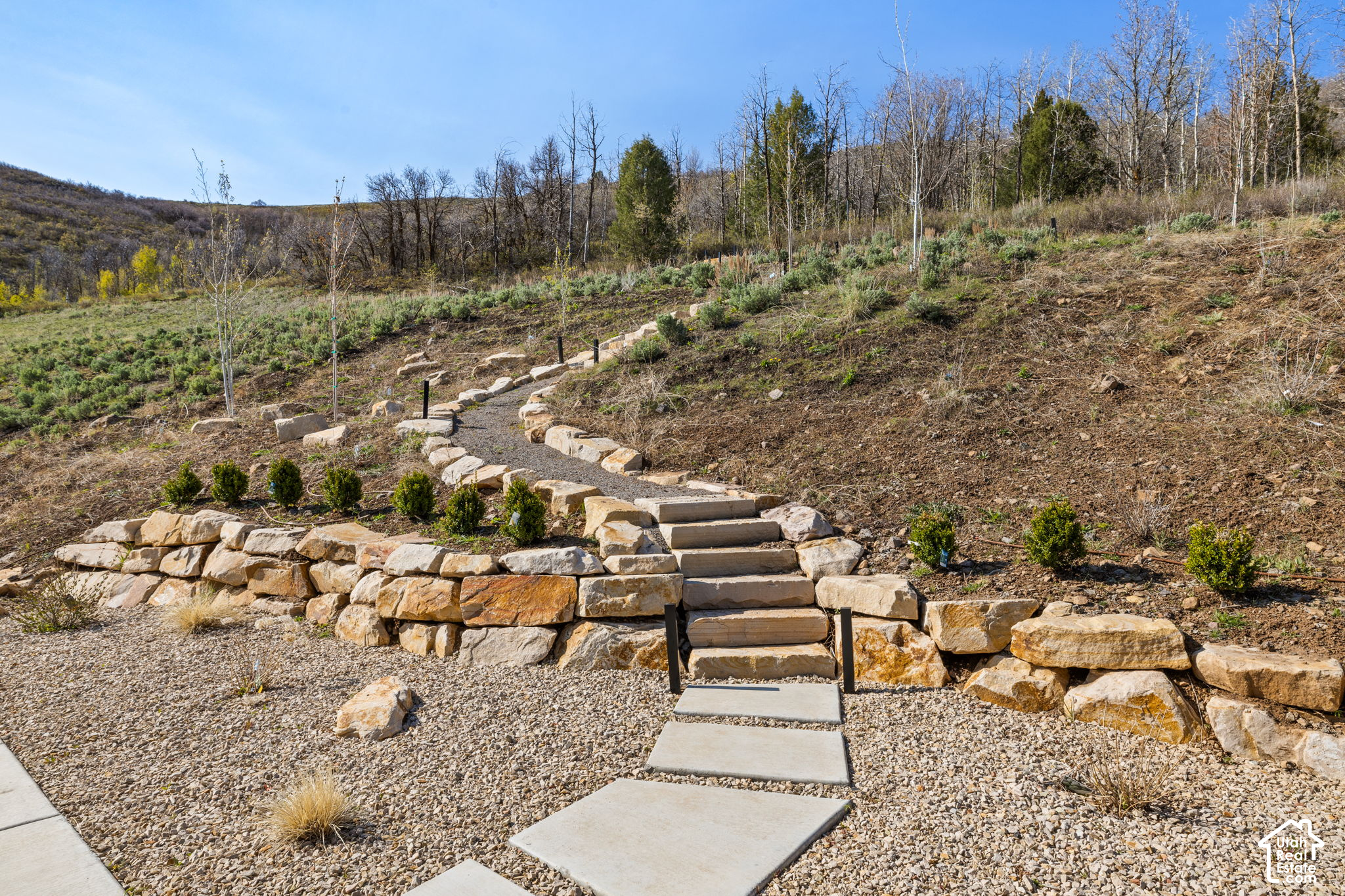 main property photo 48