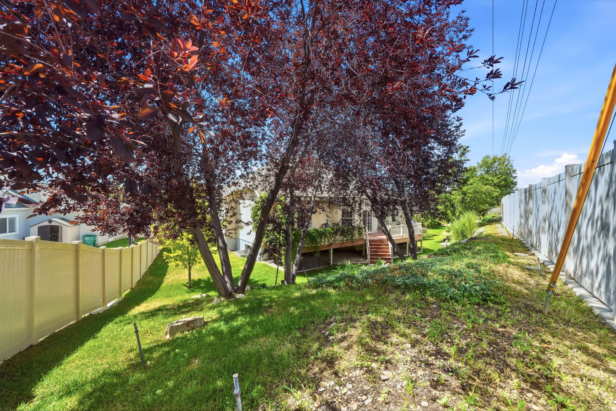 main property photo 69