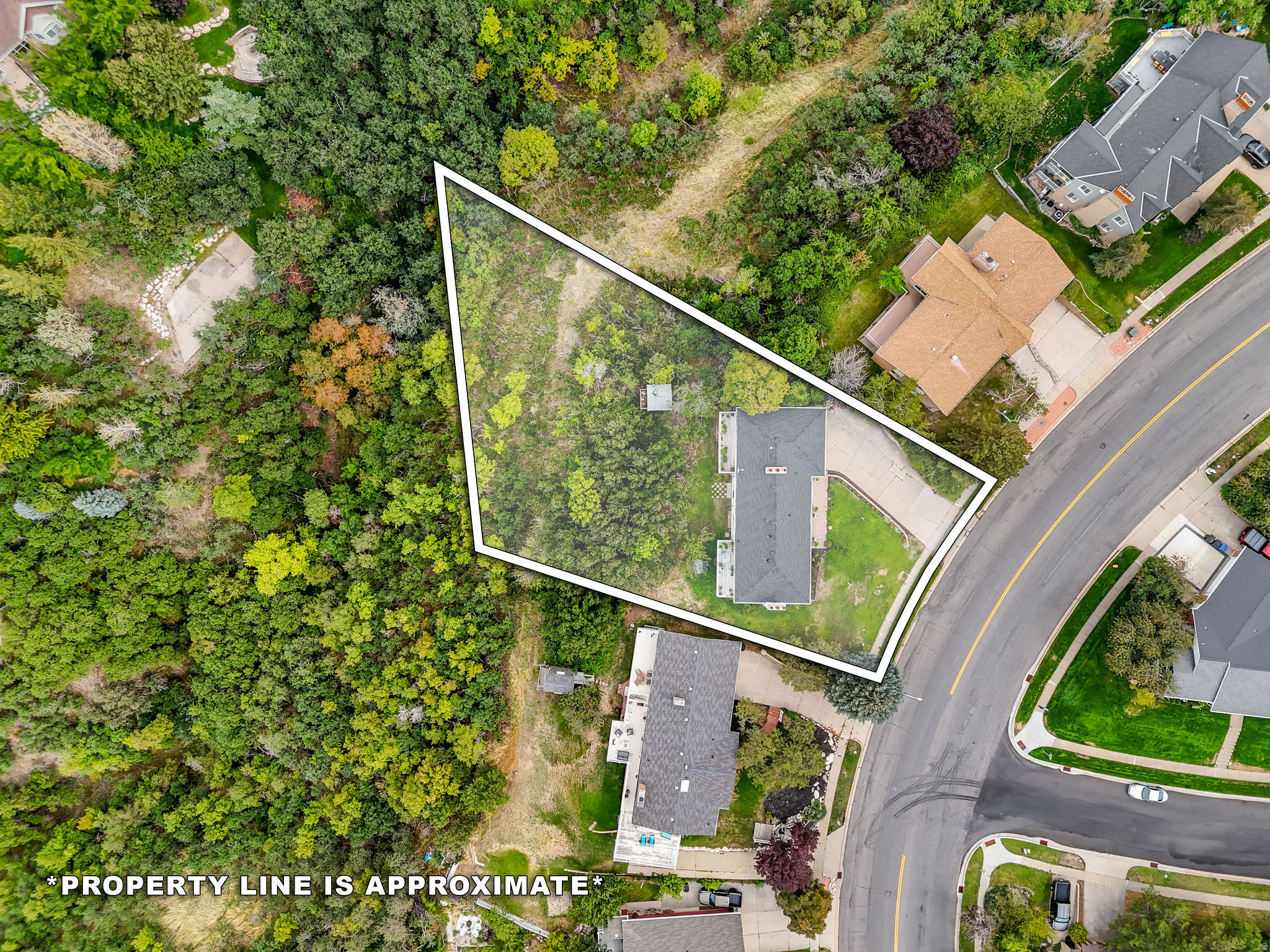 main property photo 41