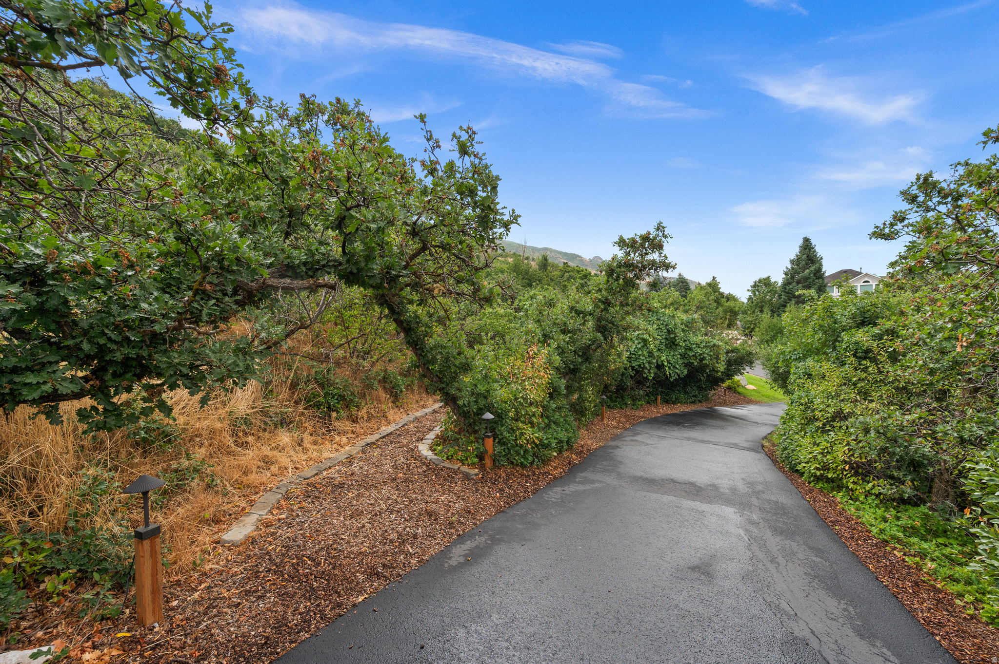 main property photo 65