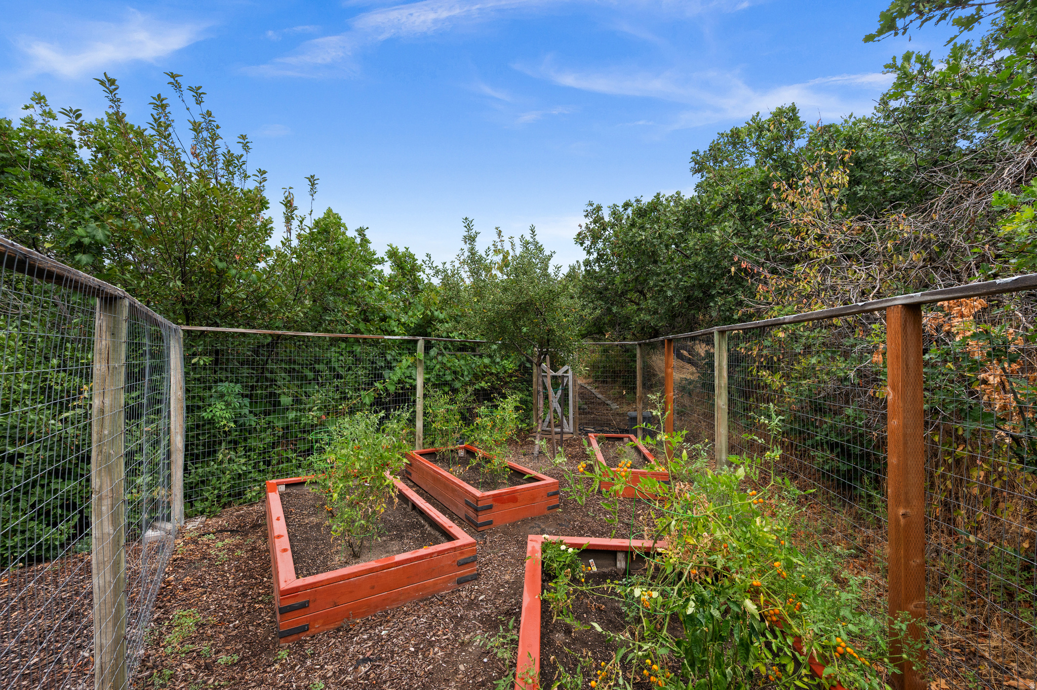 main property photo 66