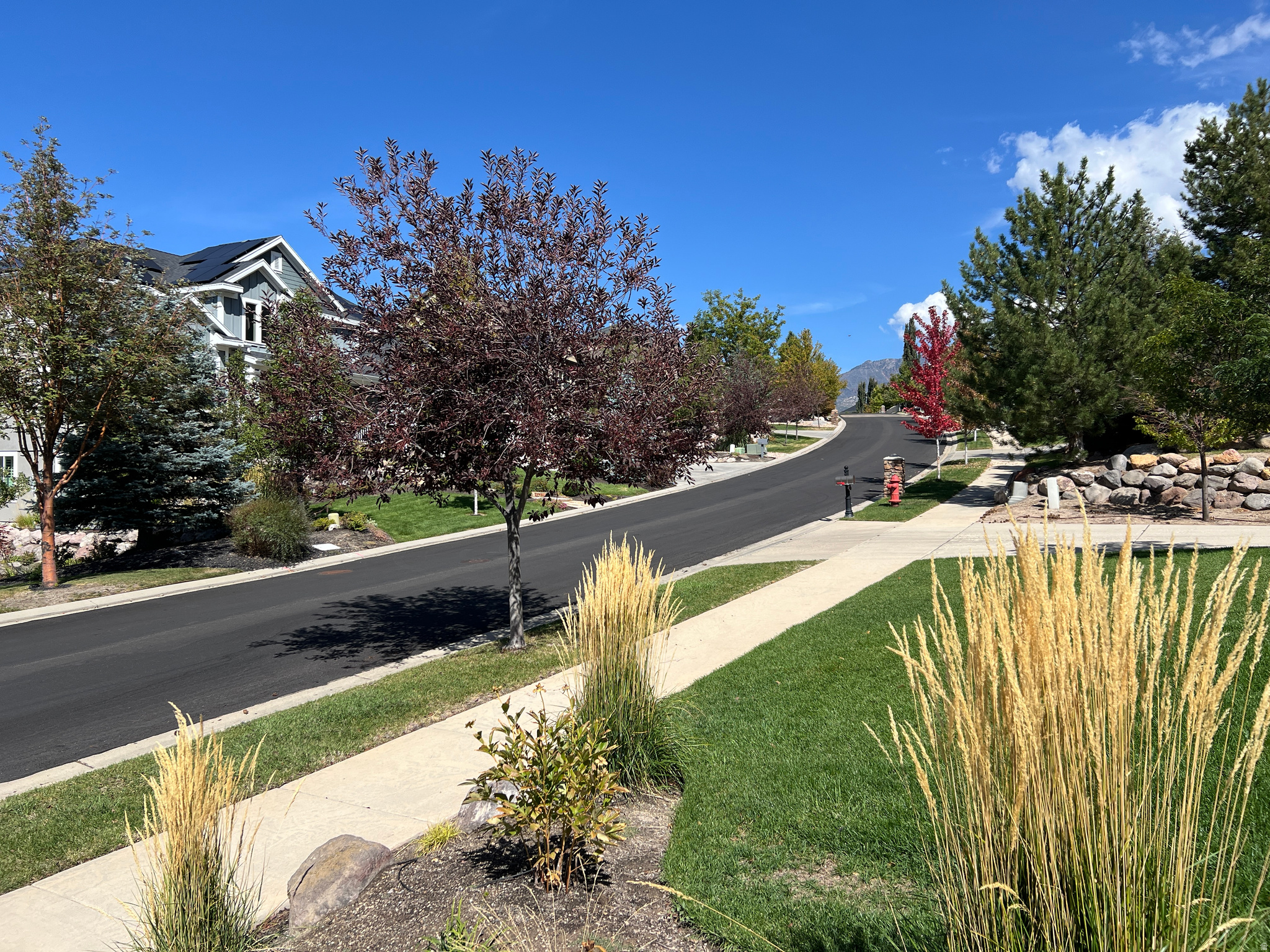 main property photo 58