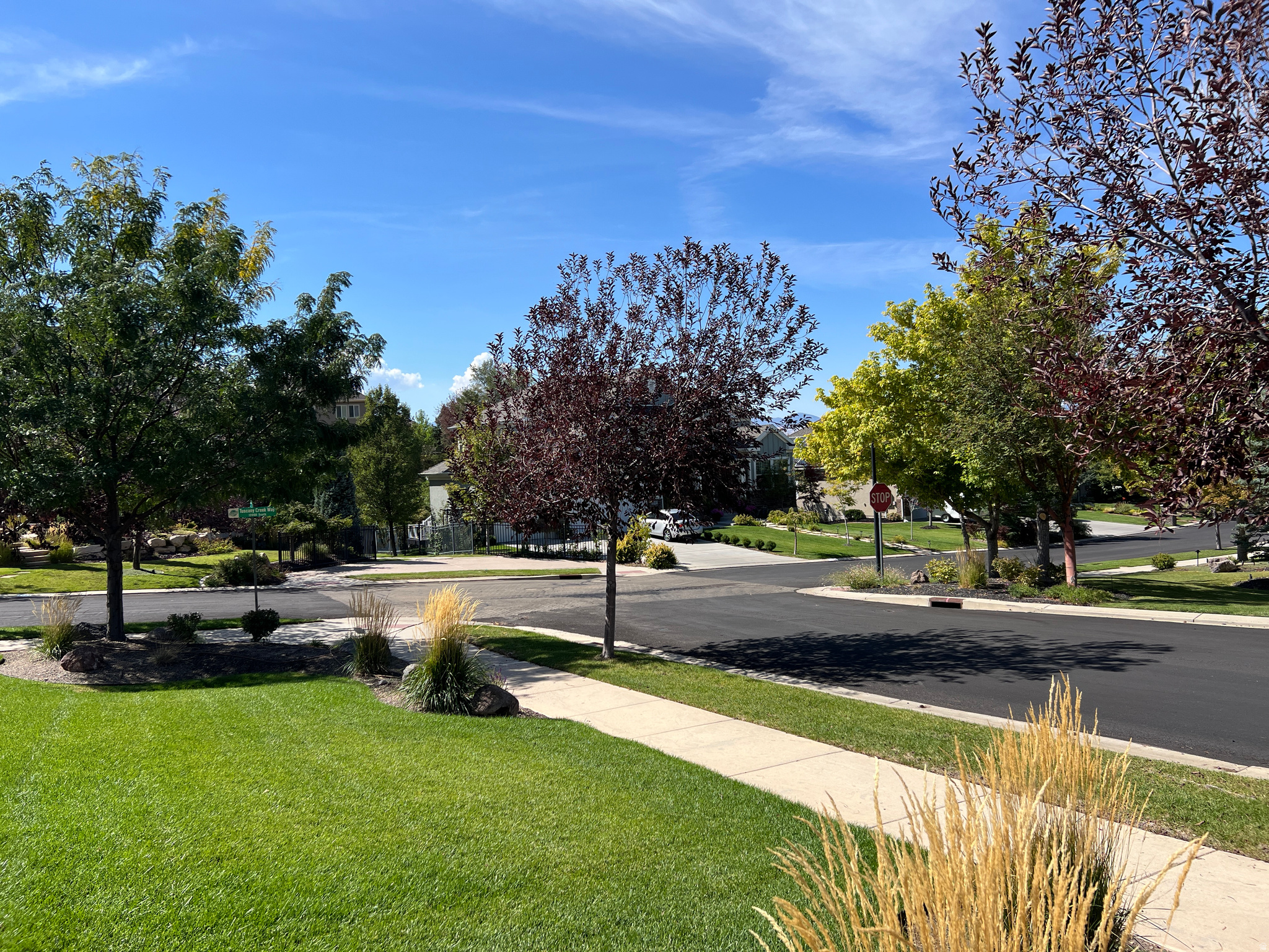 main property photo 59