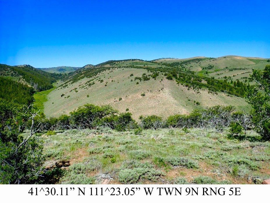 main property photo 0