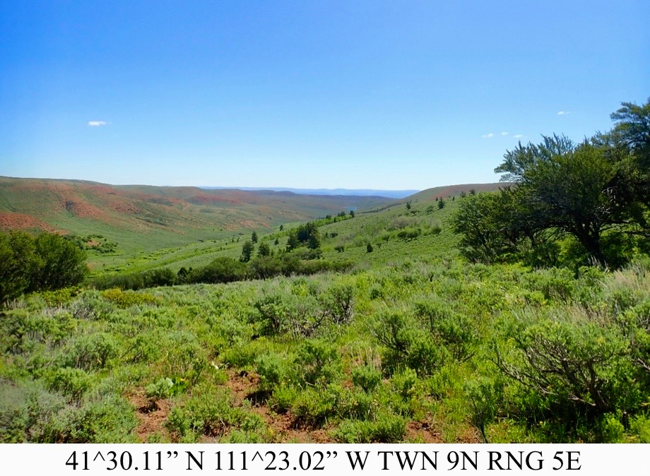 main property photo 11