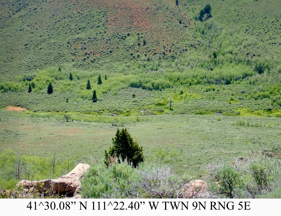 main property photo 13
