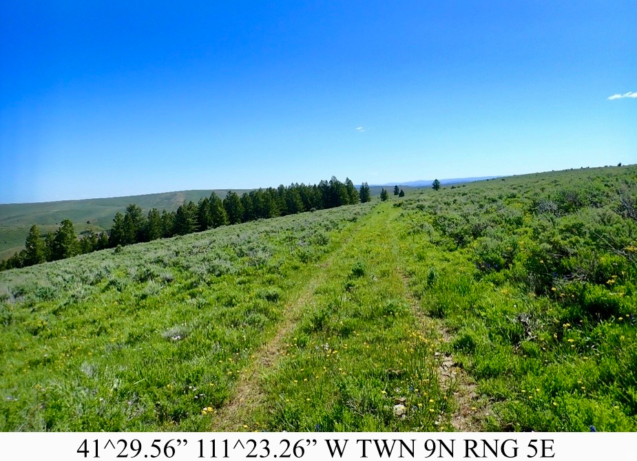 main property photo 6