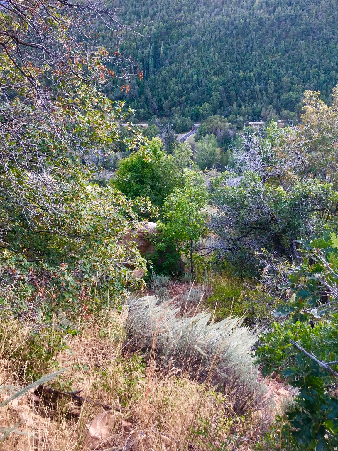 main property photo 10