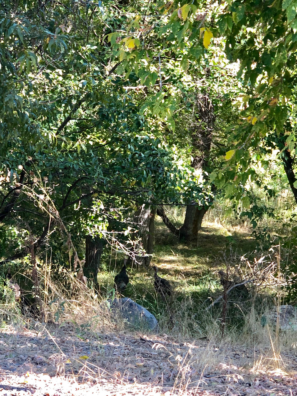 main property photo 11