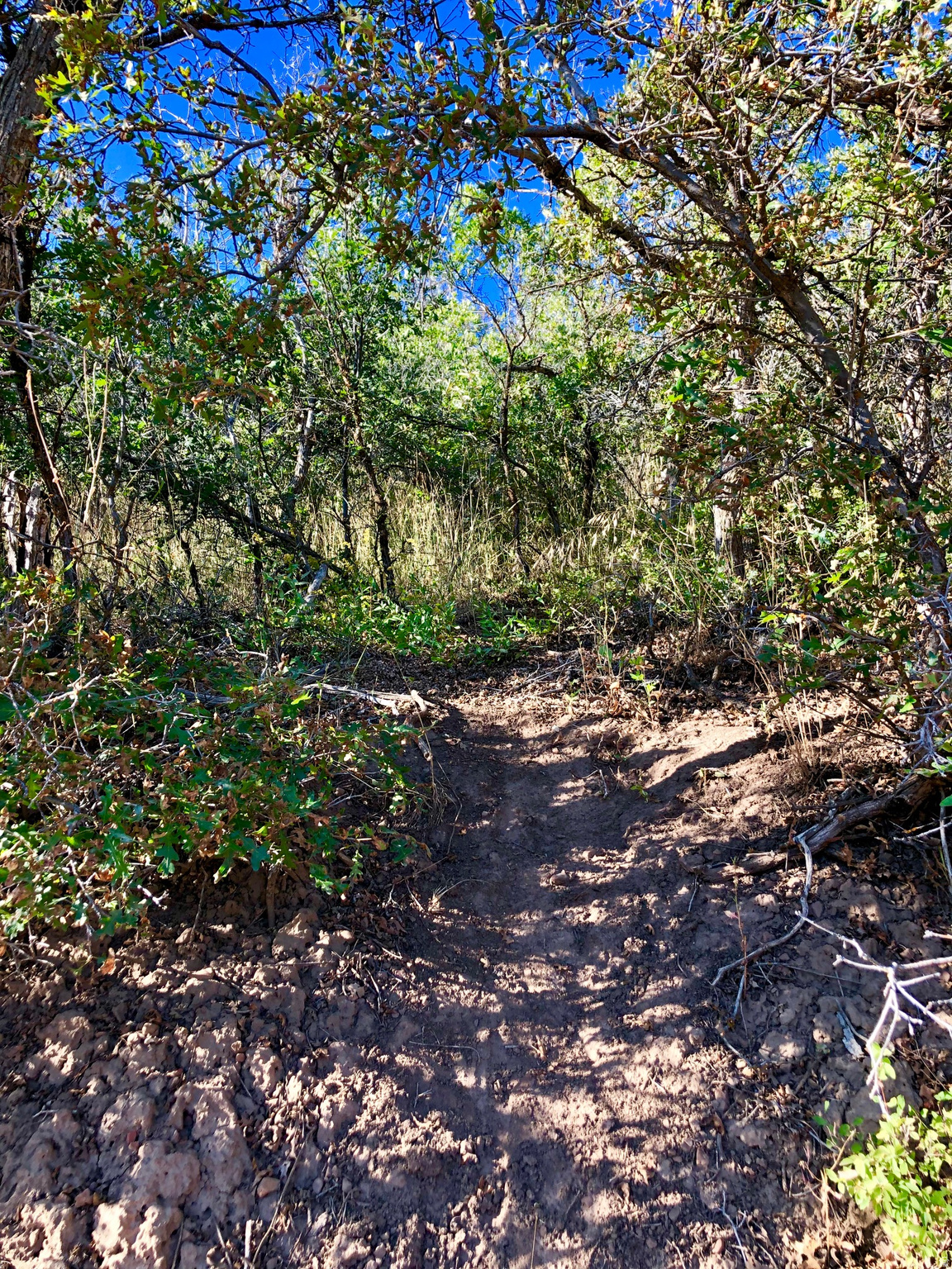 main property photo 12