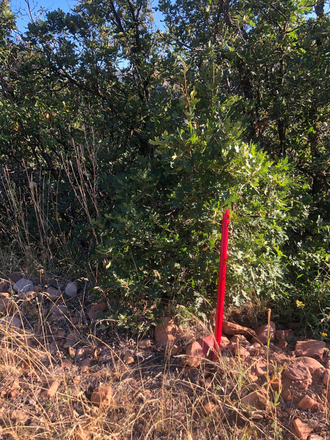 main property photo 21