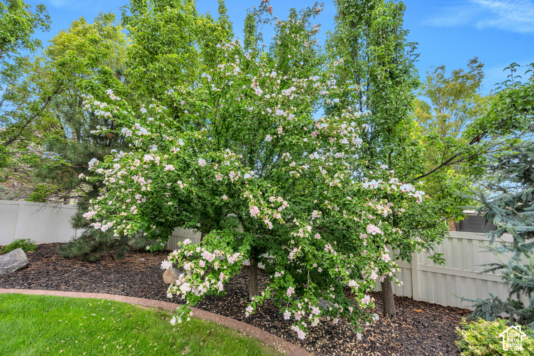 main property photo 67