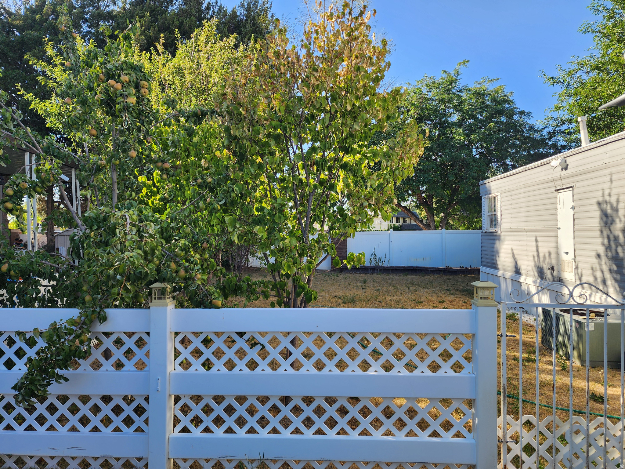 main property photo 17