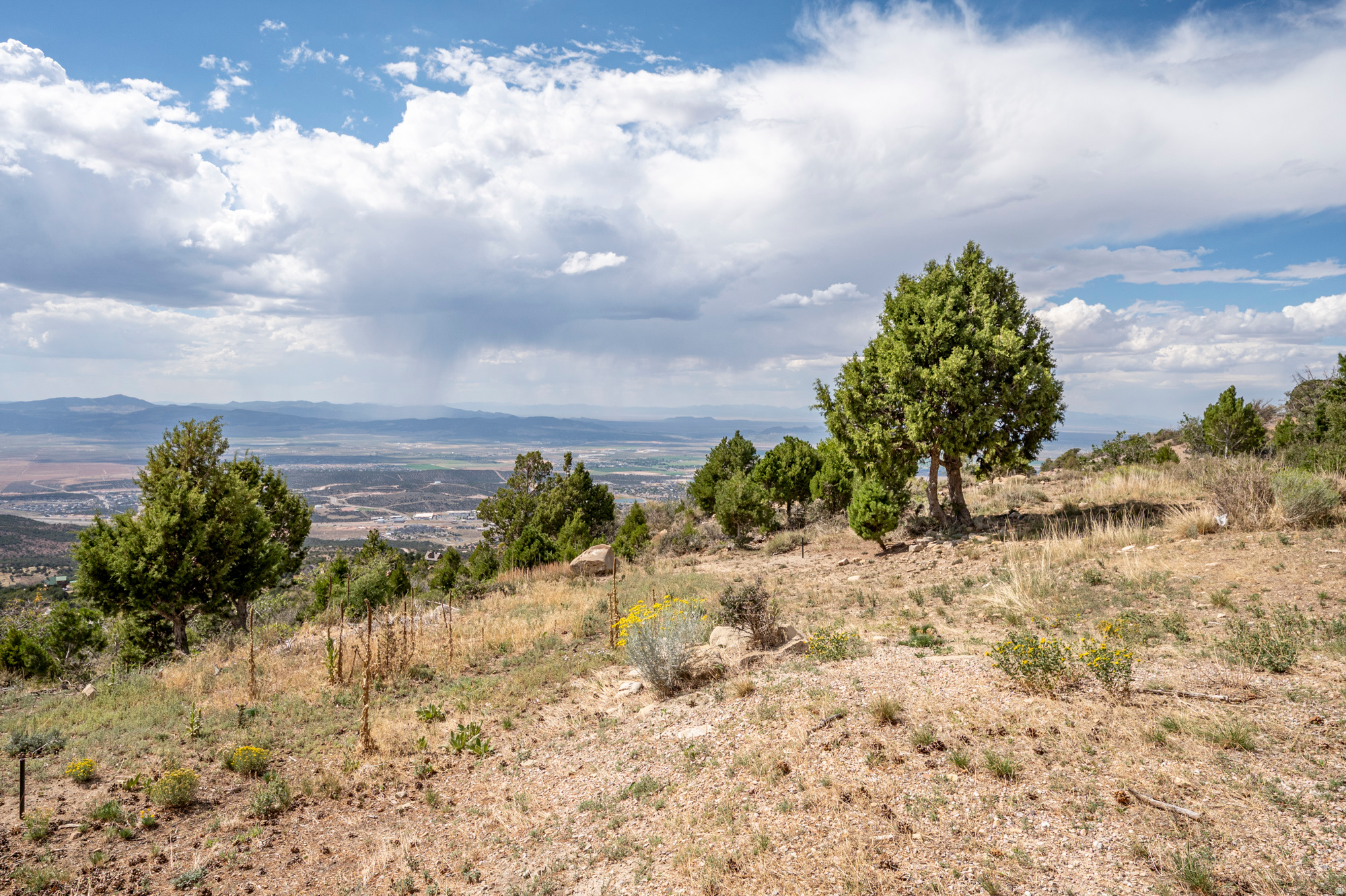 main property photo 60