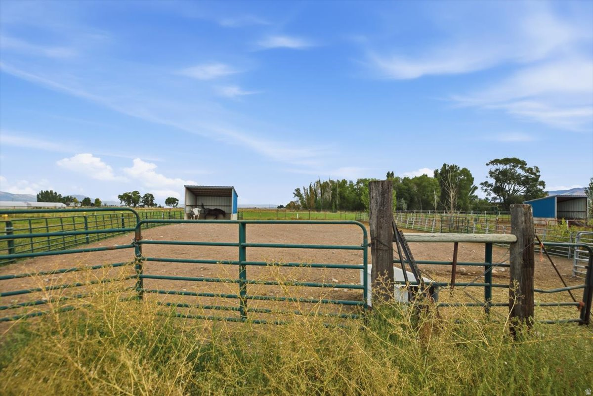 main property photo 42