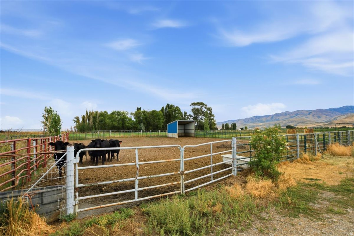main property photo 46