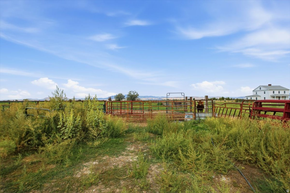 main property photo 48