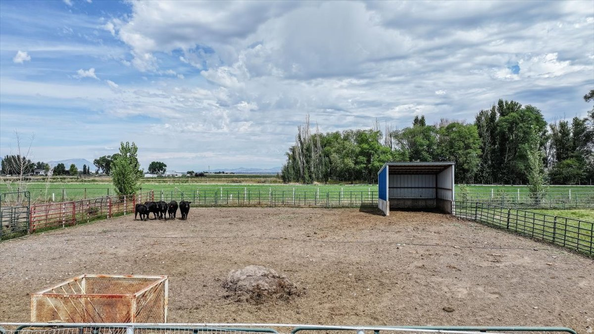 main property photo 72