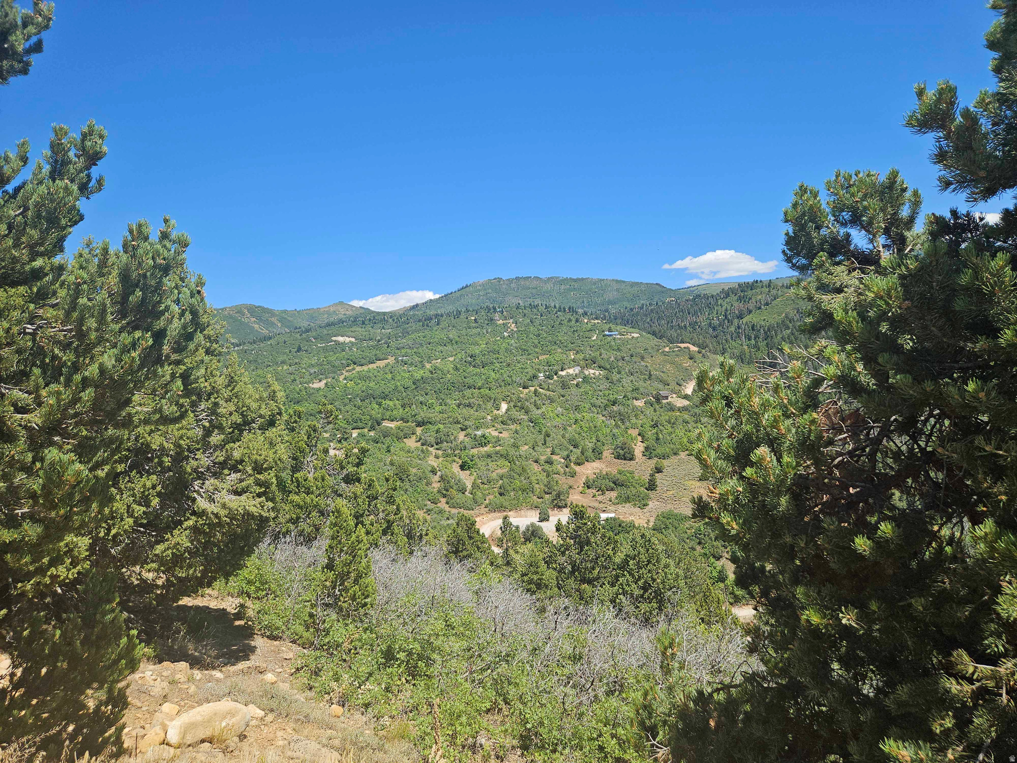 main property photo 6