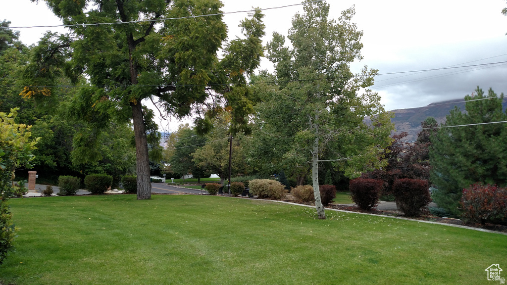 main property photo 55
