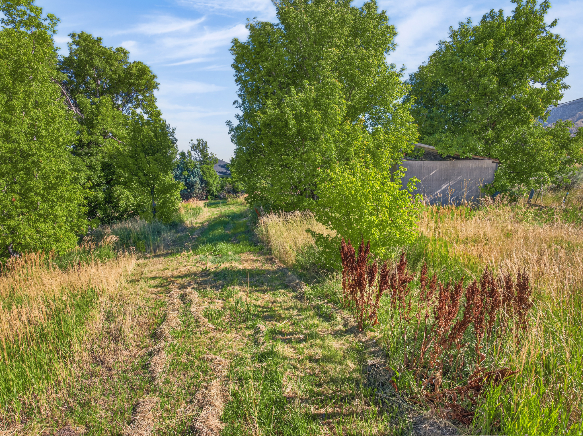 main property photo 58