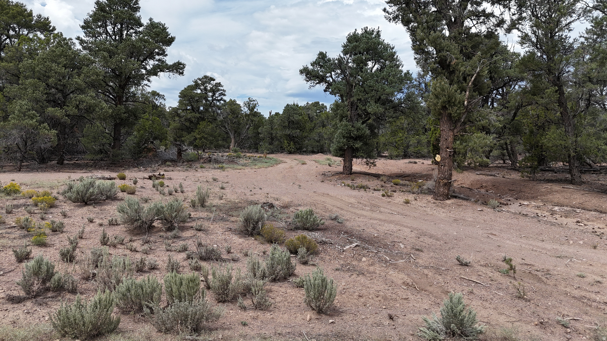 main property photo 40