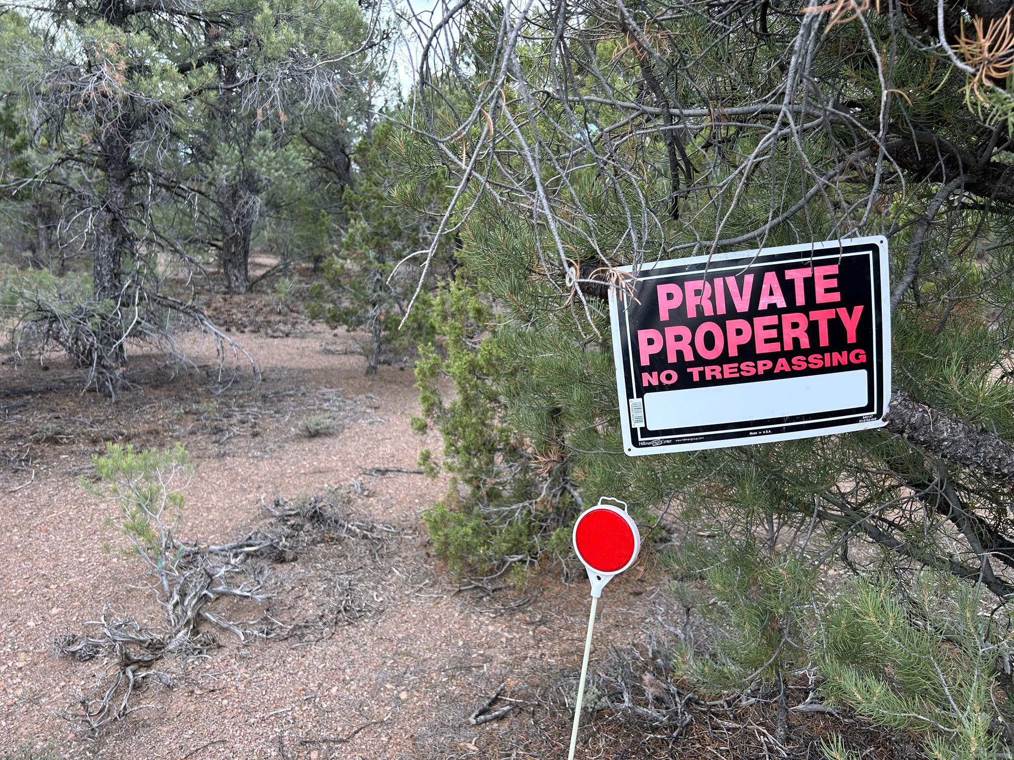main property photo 45