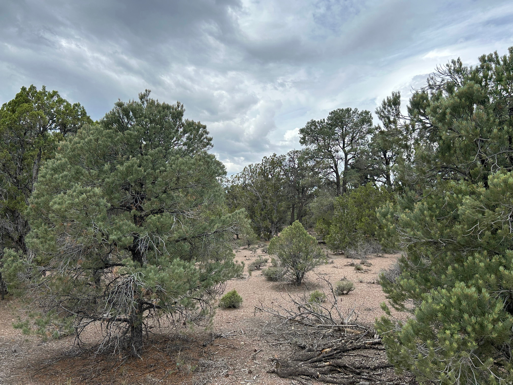 main property photo 46