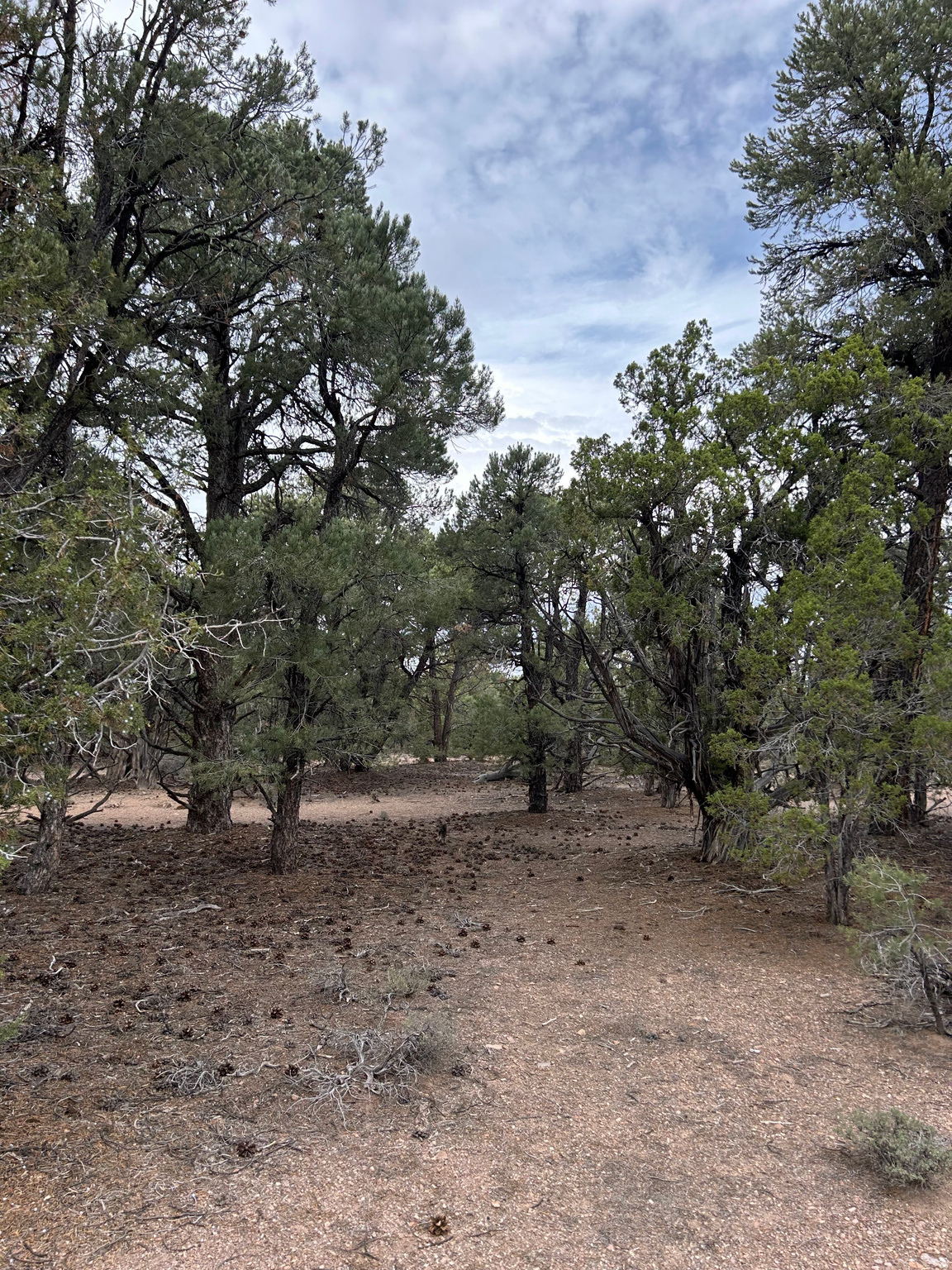 main property photo 47