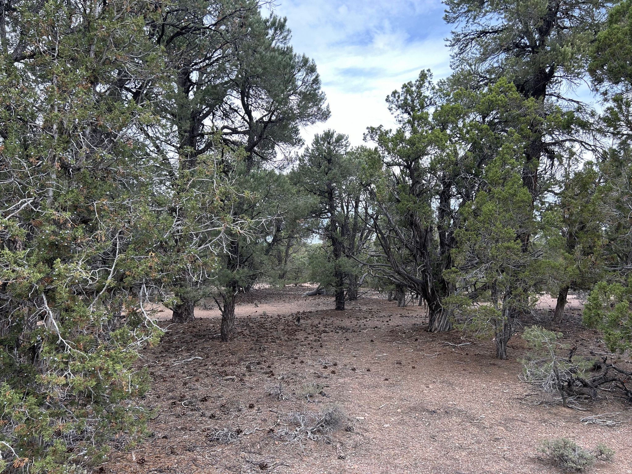 main property photo 48
