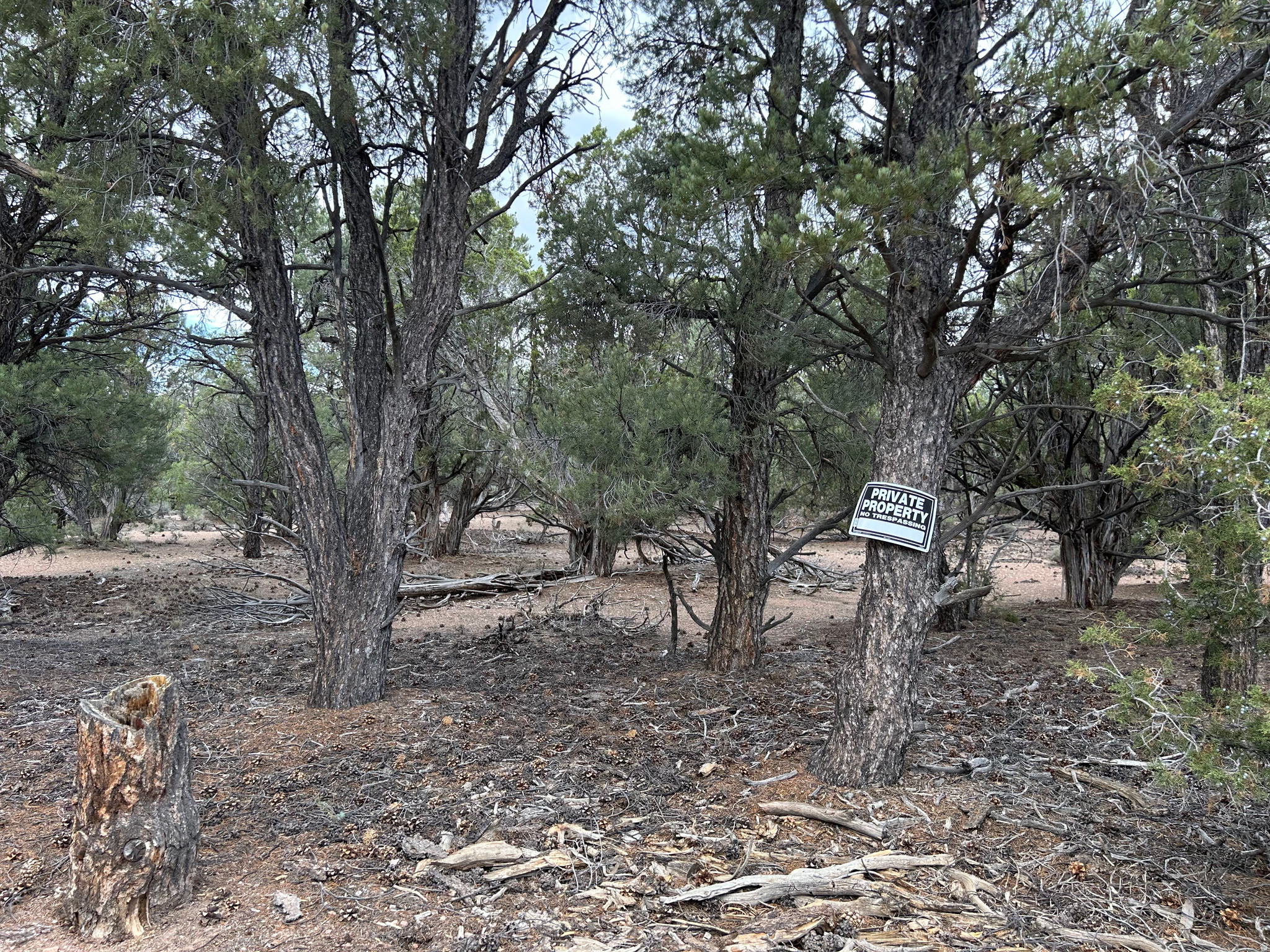 main property photo 49
