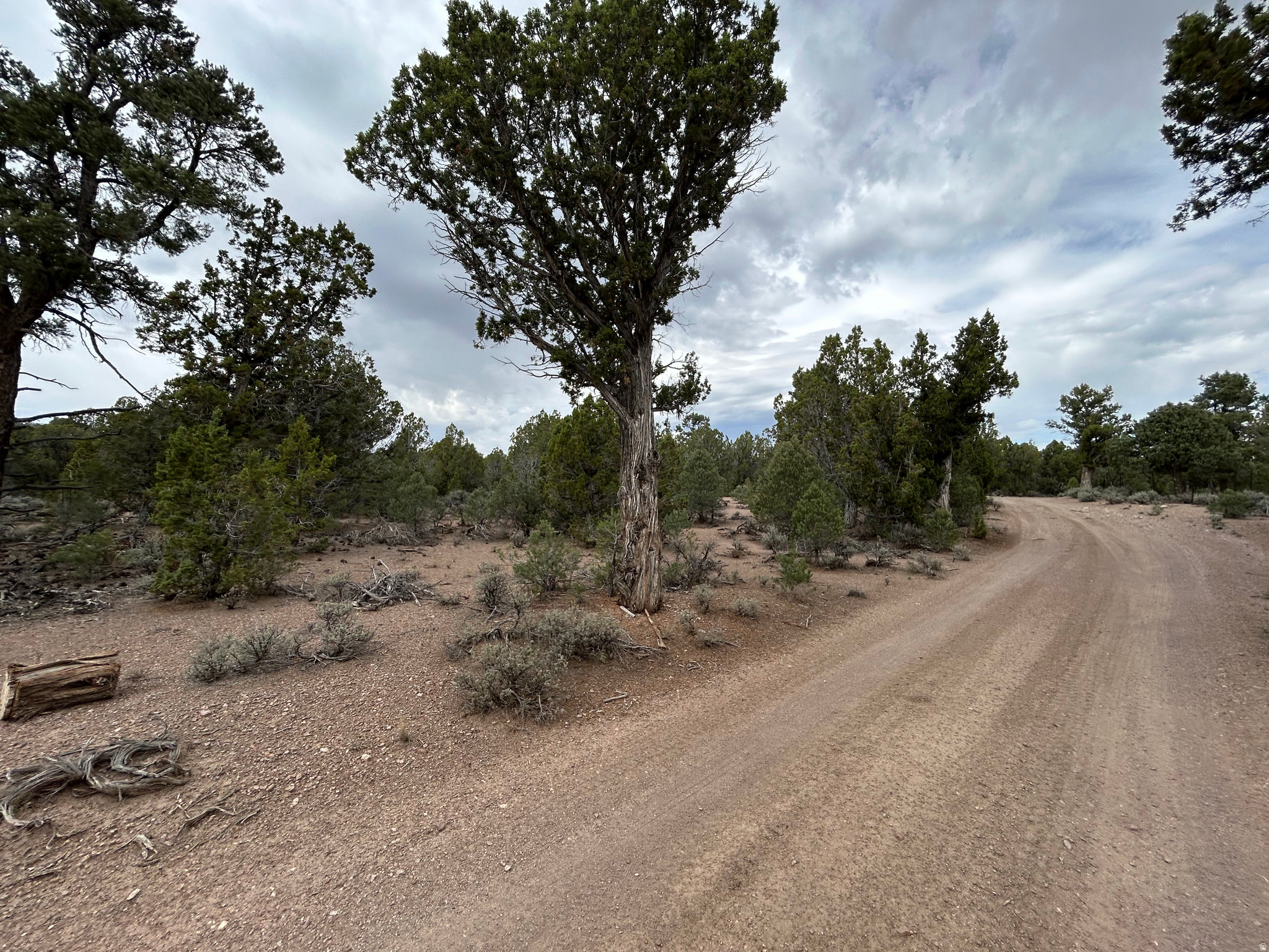 main property photo 58