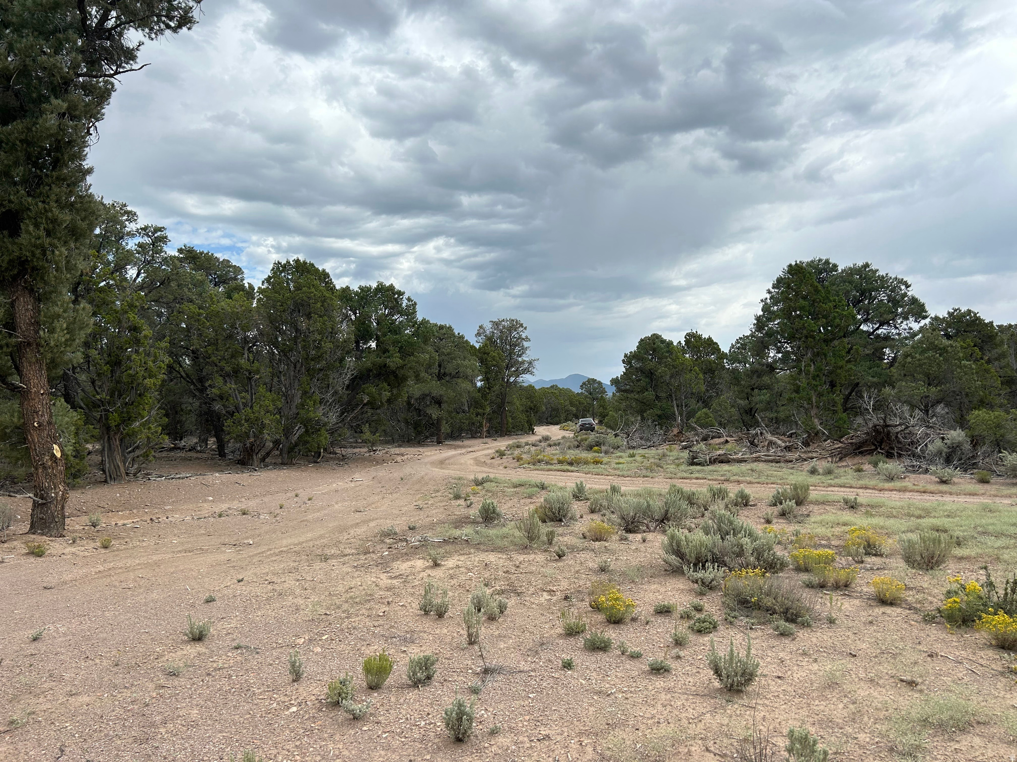 main property photo 59
