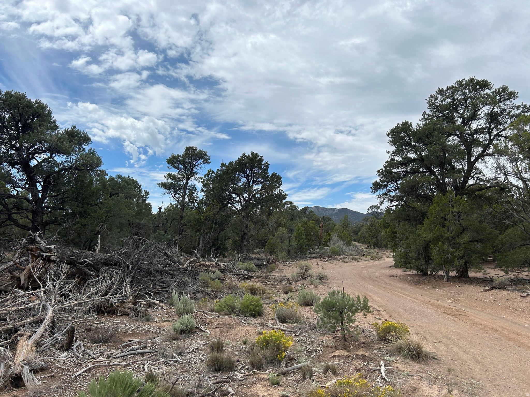 main property photo 60