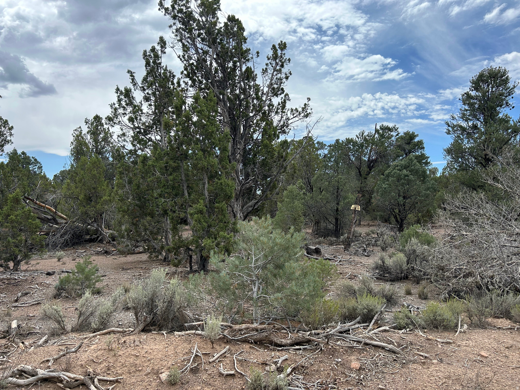 main property photo 61
