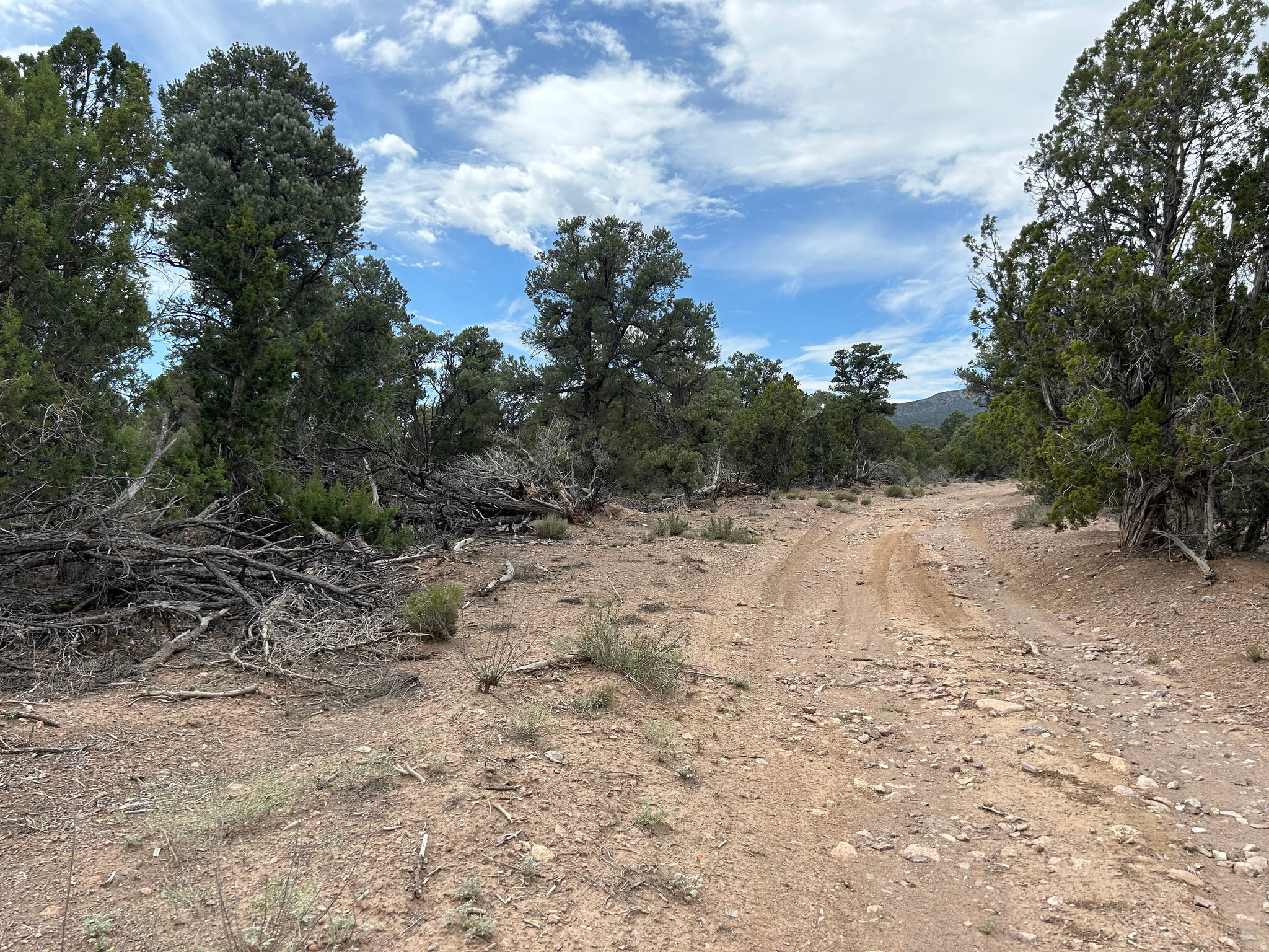 main property photo 62