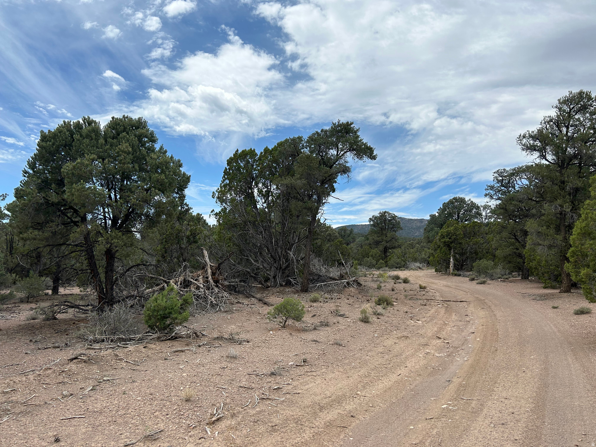 main property photo 64