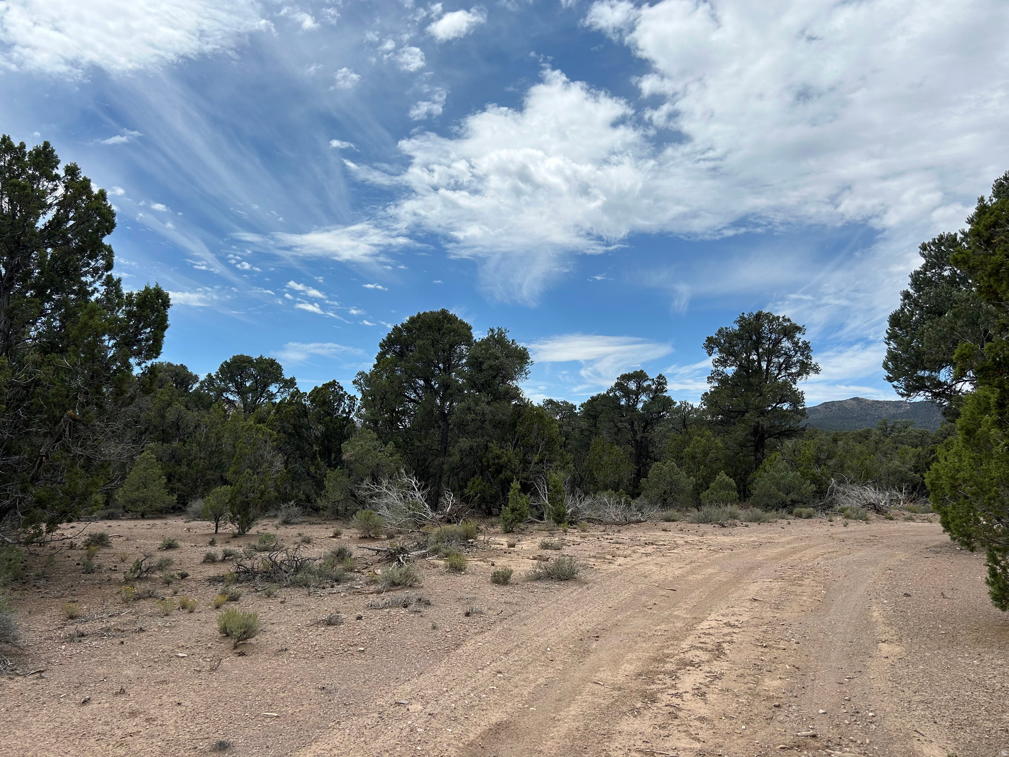main property photo 65
