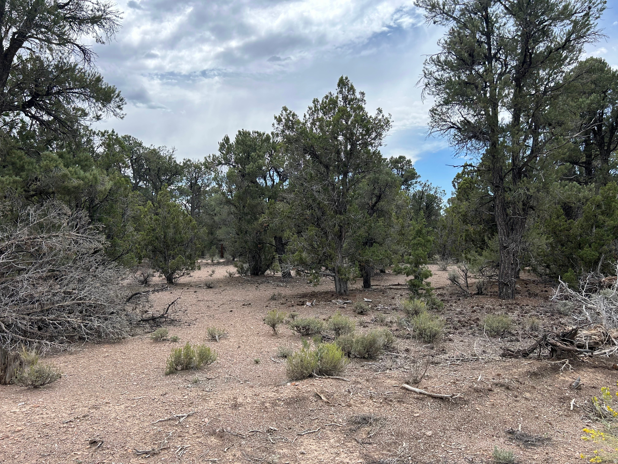 main property photo 67