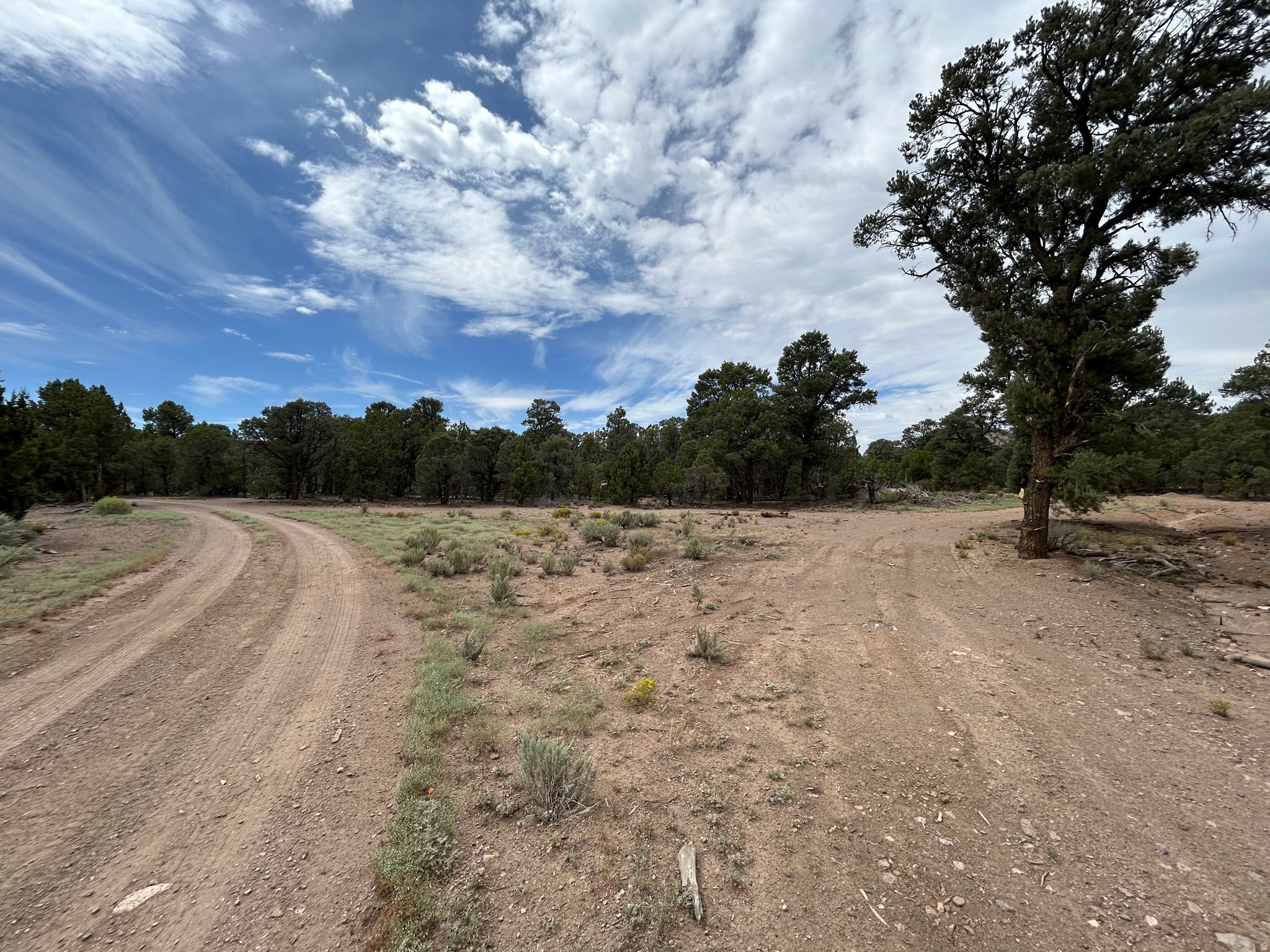 main property photo 68